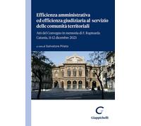Efficienza amministrativa ed efficienza giudiziaria al servizio delle comunità territoriali. Atti del Convegno in memoria di F. Rapisarda. Catania, 11-12 dicembre 2023