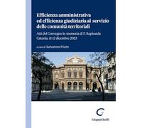 Efficienza amministrativa ed efficienza giudiziaria al servizio delle comunità territoriali. Atti del Convegno in memoria di F. Rapisarda. Catania, 11-12 dicembre 2023