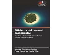Efficienza dei processi organizzativi: Uno studio nella Sezione Materiali e Beni del Tribunale Federale di Paraíba