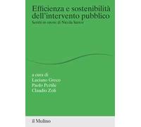 Efficienza e sostenibilità dell'intervento pubblico. Scritti in onore di Nicola Sartor