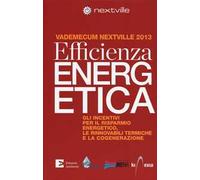 Efficienza energetica. Gli incentivi per il risparmio energetico, le rinnovabili termiche e la cogenerazione. Vademecum Nextville 2013