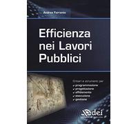 Efficienza nei lavori pubblici