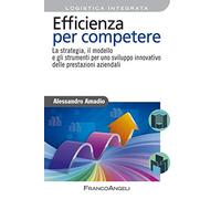 Efficienza per competere. La strategia, il modello e gli strumenti per uno sviluppo innovativo delle prestazioni aziendali