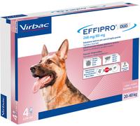 effipro duo 4pip 20-40kg cani