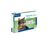 Effipro Duo Gatto - 4X0,50ML