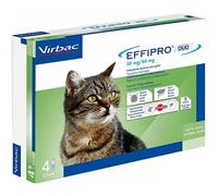 EFFIPRO Duo Spot-On Gatti 4Pip