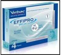 EFFIPRO SPOTON 4PIP GATTO