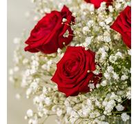 eFiori - Bouquet Rose Rosse VERE e fiori bianchi- Idea Regalo elegante per Lei, San Valentino, Moglie, Fidanzata, Anniversario - DEDICA PERSONALIZZATA