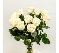 eFIORI Mazzo di 12 Rose Bianche Vere, Dedica Personalizzata e Consegna Fiori a Domicilio - Bouquet di Rose Fresche a Calice Grande - Idea Regalo per lei - Centrotavola e Decorazioni interni