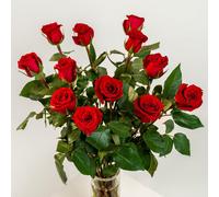 Efiori Mazzo Di 12 Rose Rosse Vere, Dedica Personalizzata E Consegna Fiori a Dom