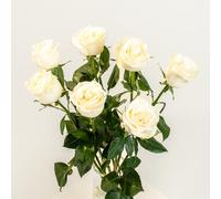 eFIORI Mazzo di 7 Rose Bianche Vere, Dedica Personalizzata e Consegna Fiori a Domicilio - Bouquet di Rose Fresche a Calice Grande - Idea Regalo per lei - Centrotavola e Decorazioni interni