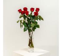 Efiori Mazzo Di 7 Rose Rosse Vere, Dedica Personalizzata E Consegna Fiori a Domi