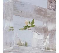 Efterklang Wildflowers (CD) Album