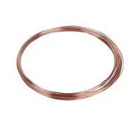 EFUTURETIME Filo di Rame Puro Nudo, ø 1.0mmx20m, T2 Filo Rame Non Smaltato per Saldatura, Esperimenti, Gioielli, Giardino, Piante