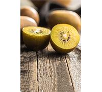 eGarden.store - Pianta vera di Kiwi Giallo o Actinidia Deliciosa Golden Femmina diverse grandezze - Albero da frutto di kiwi giallo commestibile in vaso da coltivare all'esterno