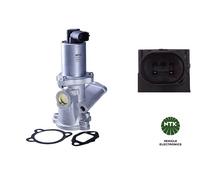 EGE2-D079 Valvola EGR Ntk