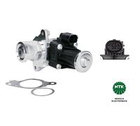 EGE5-D062 Valvola EGR Ntk