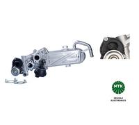 EGEC6-D098 Modulo EGR Ntk
