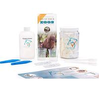Eggzamin Il kit di conteggio delle uova di verme fecale e il metodo mcmaster per la sverminazione con istruzioni e immagini passo dopo passo