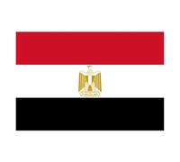 Egitto Flagegypt bandiera in poliestere dei fan della bandiera nazionale egiziana Banner per eventi sportivi 150x90 cm