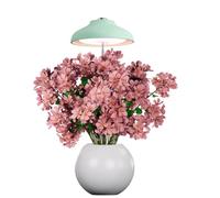 Egle lampada per piante - luce led crescita piante da interno - lampada led spettro completo con altezza regolabile e timer automatico (5W, 3500K, 240 Lumen, USB, 1.5A/5V) eco-friendly (Green)