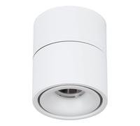 Eglo BOHOYO faretto, LED, 901043, BOHOYO [Lampade per Interni > Punti Luce e Faretti]