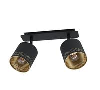 Plafoniera Moderna Esteperra 2 Luci Acciaio Nero