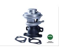 EGP0-N087 Valvola EGR Ntk