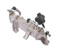 EGR Modulo Per Master MK3 Per Espace MK4 Per Laguna MK3 2.0, 2.3 Per DCI 93168407 93198888 8200910446 147350782R Raffreddatore Valvola AGR/EGR