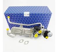 EGR Radiatore PIERBURG 7.09720.02.0 Ricircolo Gas VW Seat Skoda 1,2 Tdi Cfwa