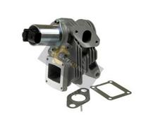 EGR Valvola di Ricircolo Gas Scarico Renault Laguna II 1.9DCI, Megane 1.9DCI 02