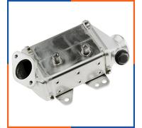 NTY Radiatore, Ricircolo gas scarico compatibile con ALFA ROMEO FIAT EGR-FT-006A