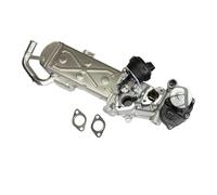 EGR valvolas Per VW Per Passat CC Per Scirocco Per Sharan Per Tiguan Per Maggiolino Per Caddy EOS Per Golf MK Plus 2001-2015 03L131512CF VALVOLA EGR RAFFREDDATORE