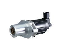 EGR Valvole 12V Elettrico 5-Pin Connettore (6NU 014 865-191) OEM Hella