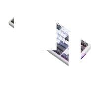 EGRMZ F87 PRO 87 Chiave TASTENZA Meccanica Tri Wireless Tri Mode USB Bluetooth RGB REWLITT PBT KeyCaps Gausto Montaggio Compatibile con PC per Laptop(F87PRO XINGJI 3MODE)