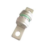 EGTDSFGJA Fusibile CR2L-10/20/30/50/75/100/125/140/150/175/200/225A/260/300ul/325UL 5 Pezzi(CR2L-125UL)