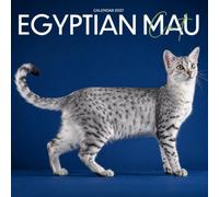 Egyptian Mau Calendar 2027: Spotted Coats and Bright Eyes