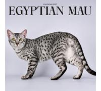 Egyptian Mau Cat Calendar 2027: Spotted Cats and Home Life