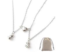 EHDWXVZM 1 paio di collane dell'amicizia, 1 custodia, collana abbinata, collana per compleanno, collana con ciondolo a forma di dinosauro, Taglia unica, Acciaio inossidabile