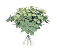 EHDWXVZM 20 pezzi di rami di eucalipto, decorazione artificiale di eucalipto, composizione floreale di rami, eucalipto simulato, accessori per set, adatti per matrimoni, giardini e case