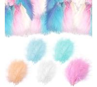 EHDWXVZM 200 Piume Colorate, Piume Artigianali, Piume Multiuso, Decorazioni di Piume, Possono Fare Accessori per Capelli, Pendenti E Accessori per Abbigliamento.