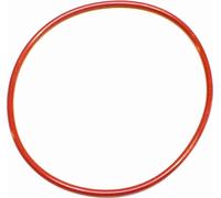 Eheim Guarnizione Classic - 2211