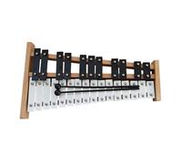 EHJRE 27 Note Strumento a Percussione GLOCKENSpiel per Sessioni di Famiglia Eventi a Casa