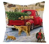 EHOMERY Fodere Cuscini Personalizzate Federe Cuscino Divano Golden Retriever Tre Cuccioli Che Giocano Seta Copricuscini Velluto Fodera X Poltronesofa Decorazione Colorato 20X20 Inches