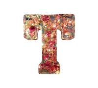 EHOTER Lettera in resina floreale con luce notturna, lettere floreali in resina con fiori, regalo per mamma, moglie, fidanzata (T)
