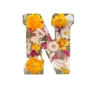 EHOTER Lettere in resina con fiori, luce notturna floreale in resina, lettere con fiori in resina, regalo per mamma, moglie, fidanzata (N)