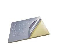 EHxCUF A4 Materiale in argento opaco Etichetta Etichetta carta spazzolata Golden Finitura impermeabile Anti -scratch compatibile con stampanti a shjet e laser 8 5Mic 5Mic(10 Inkjet)