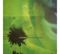 Eiafuawn Birds in the Ground (Bee Yellow) (Vinyl LP)