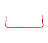 Stabilizzatore Fahrwerk Posteriore EIBACH per u.a. BMW Serie 3, 21 mm