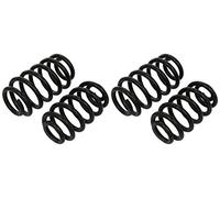 Molla del telaio EIBACH Pro-Kit E10-15-003-11-22